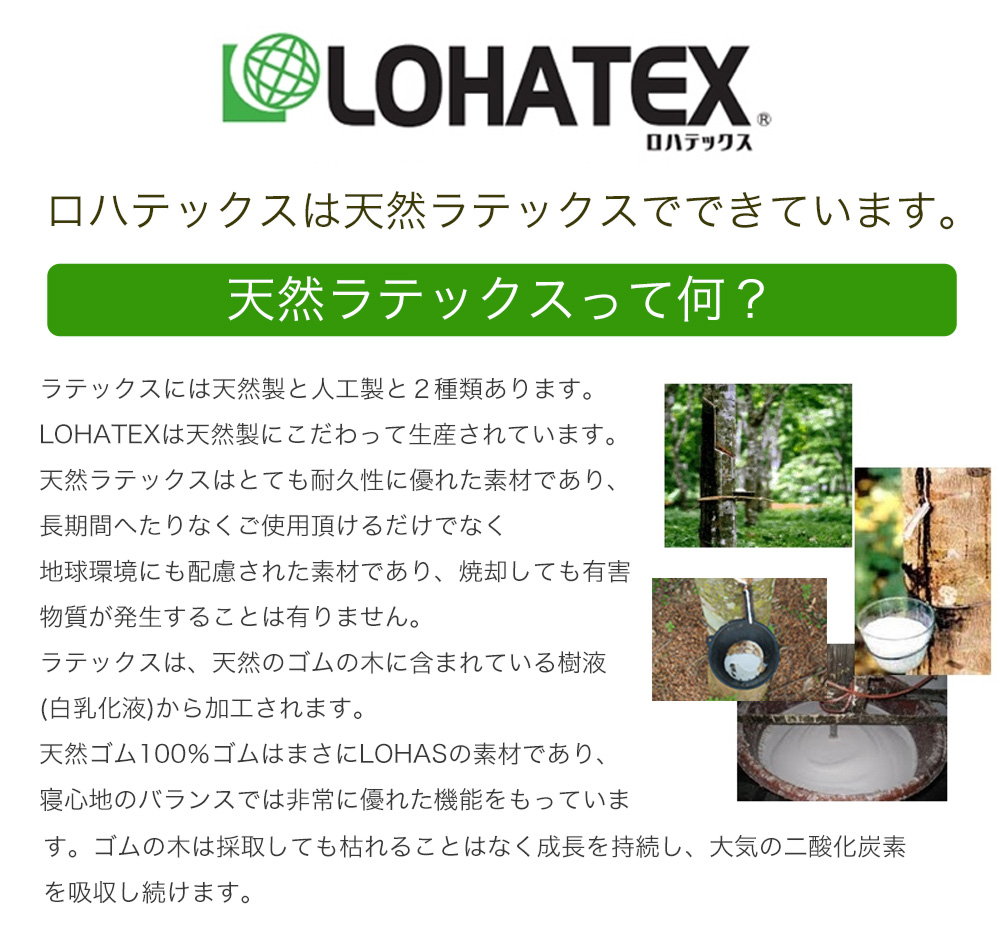 高反発寝具 LOHATEX ネックサポートピロー 大サイズ 60*40*10/11cm【QX03】