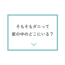 そもそもダニって家の中のどこにいる？