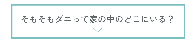 そもそもダニって家の中のどこにいる？