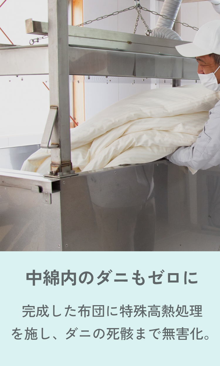 中綿内のダニもゼロに