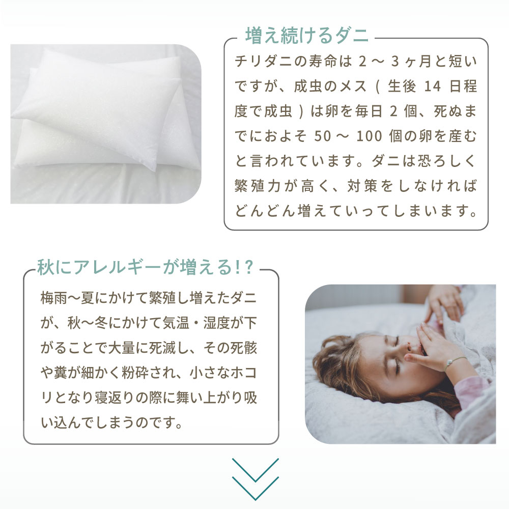 パイプ 枕 補充用 ソフトパイプ 180g